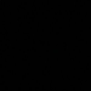 Meet your Posher, Bree